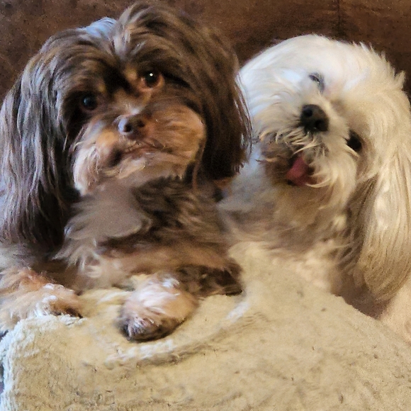 Meet your Posher, Mary - Picture 1 of 1